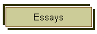 Essays